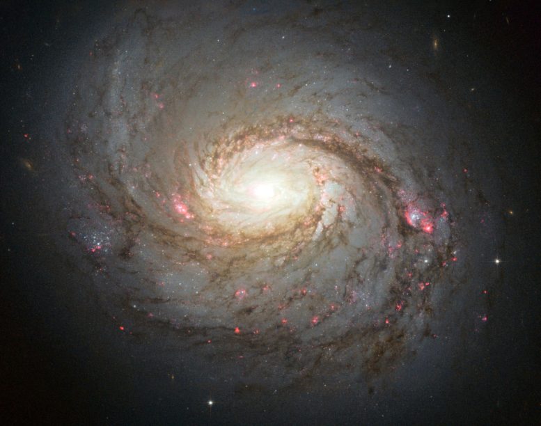 Hubble Spiral Galaxy NGC 1068
