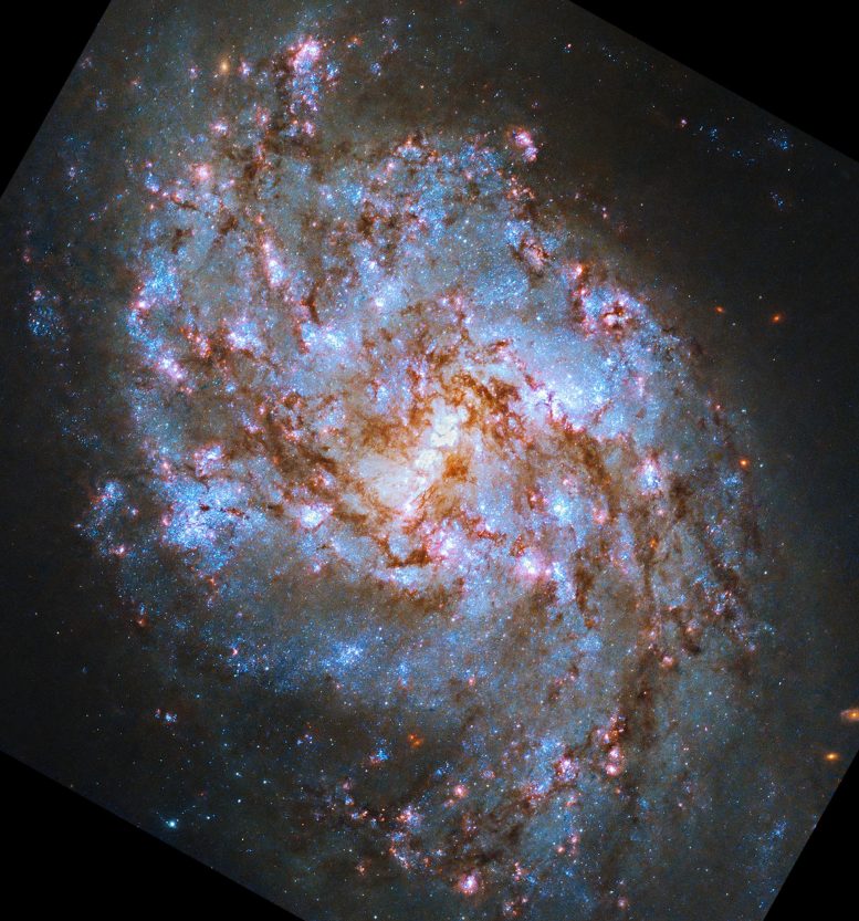 Hubbleova spirální galaxie NGC 1087
