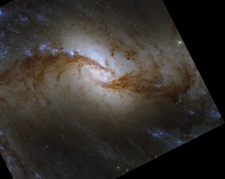 Habla spirālveida galaktika NGC 1365