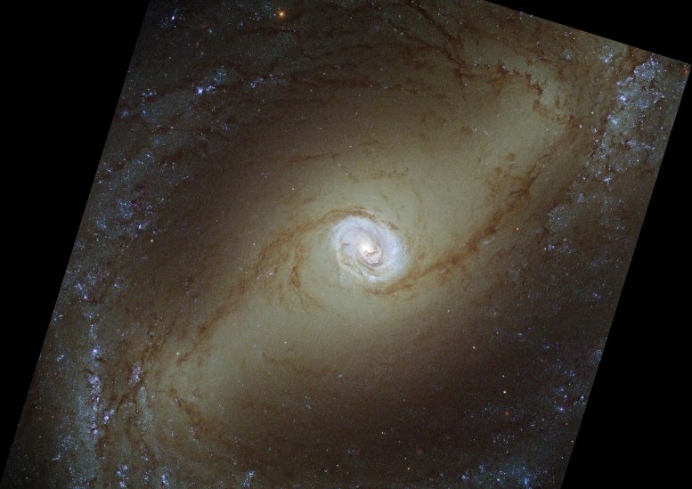 Galáxia espiral do Hubble NGC 1433
