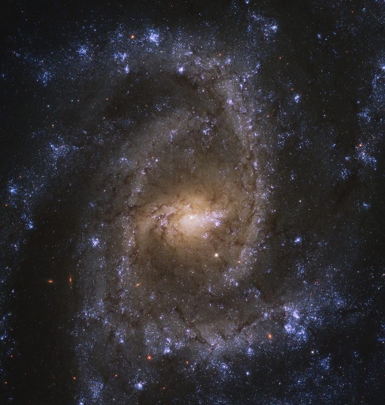 Hubbleova spirální galaxie NGC 2835
