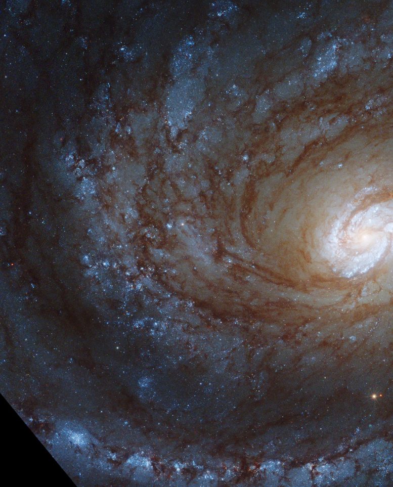 Hubbleova spirální galaxie NGC 4321