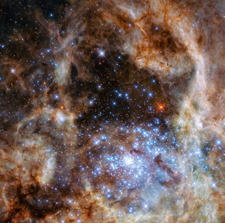 Hubble Telescope Reveals Monster Stars