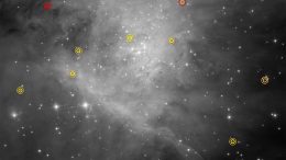 Hubble Telescope Reveals Substellar Objects in the Orion Nebula
