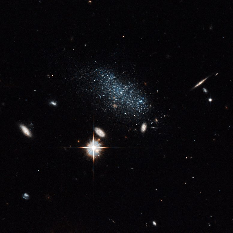Hubble Uncovers a Galaxy Pair Coming in from the Wilderness