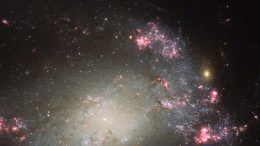 Hubble Views Barred Spiral Galaxy NGC 428