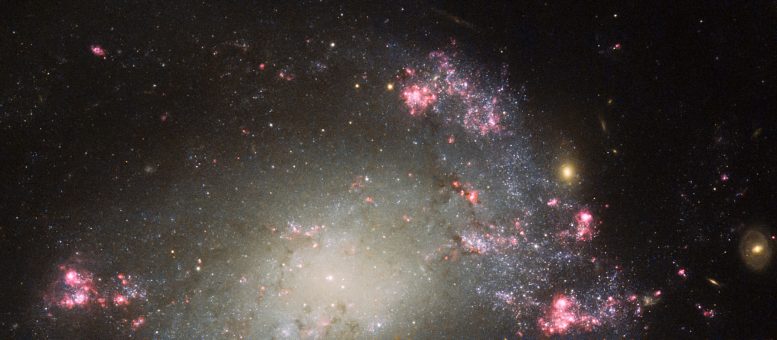 Hubble Views Barred Spiral Galaxy NGC 428