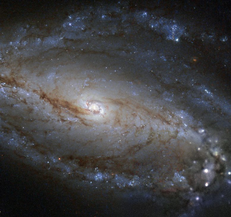 Hubble Views Barred Spiral Galaxy NGC 613