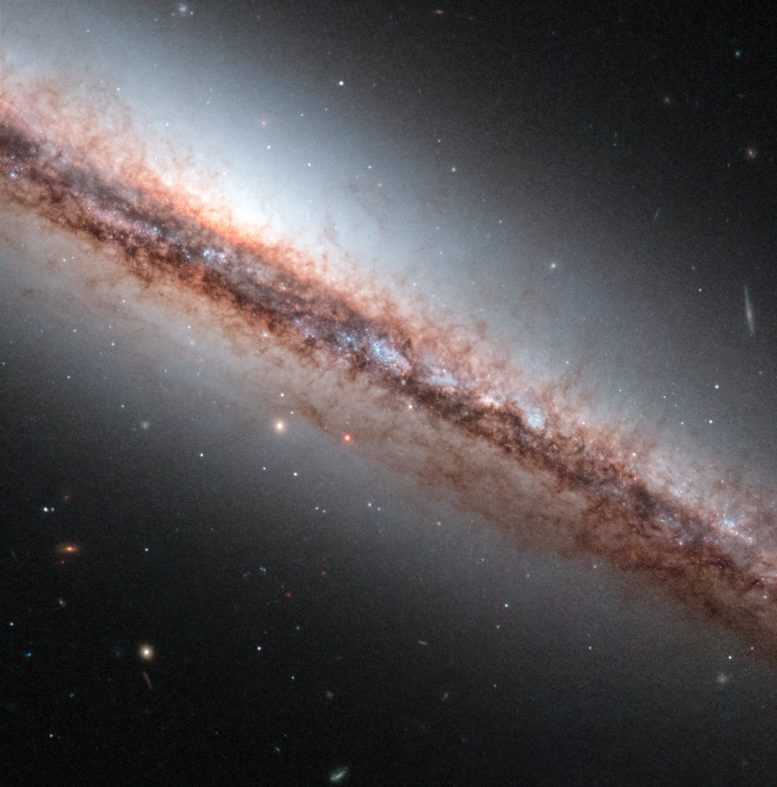 Hubble Views Dust Filaments of NGC 4217