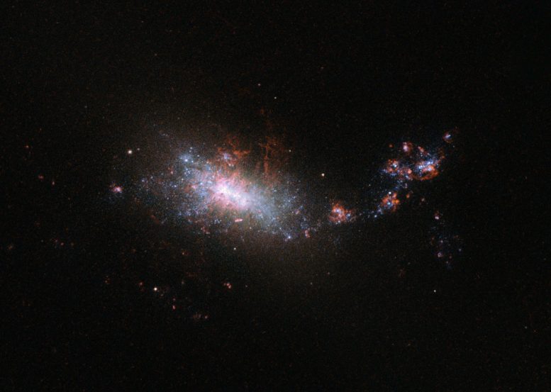 Hubble Views Dwarf Galaxy NGC 1140