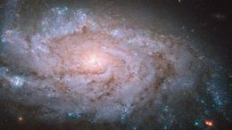 Hubble Views Galaxy NGC 1084