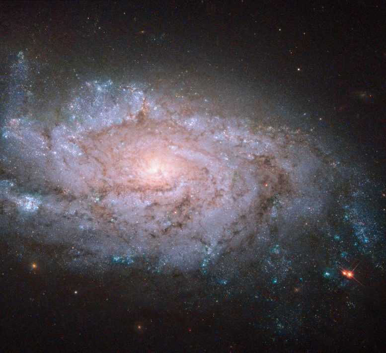 Hubble Views Galaxy NGC 1084