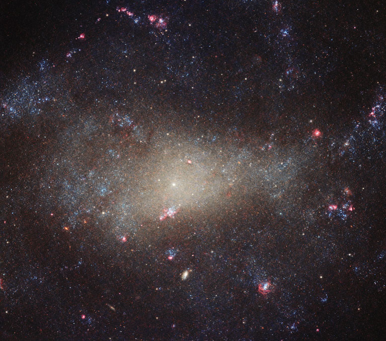 Hubble Views Galaxy NGC 4242