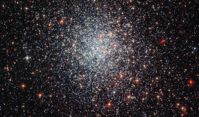 Hubble Views Globular Cluster NGC 1783