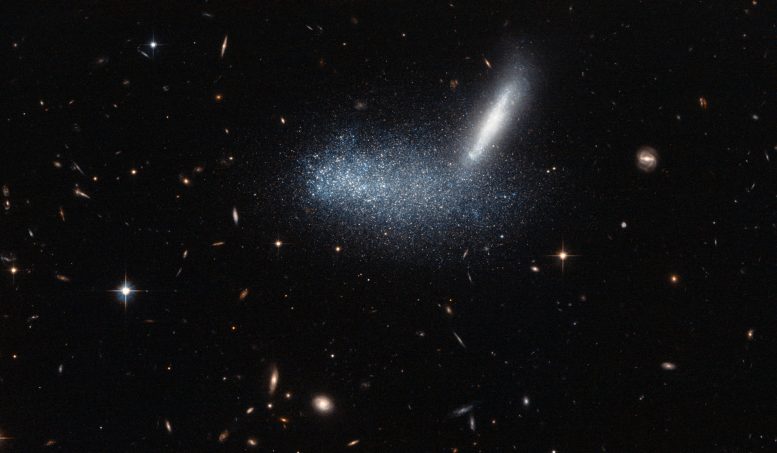  Hubble Views Irregular Dwarf Galaxy PGC 16389