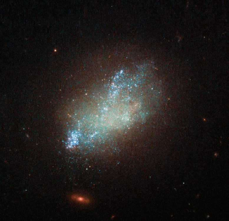 Hubble Views Irregular Galaxy IC 559
