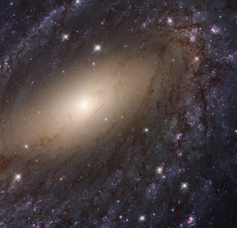 Hubble Views Local Universe in Ultraviolet