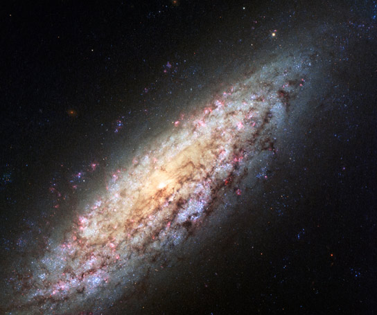 Hubble Views Lonely Galaxy NGC 6503