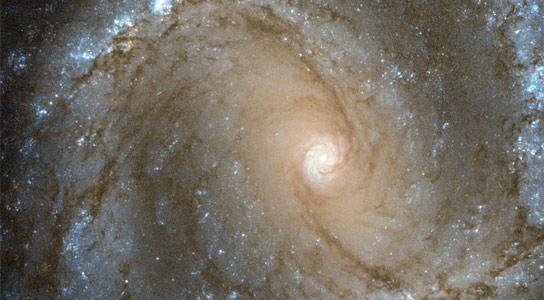 Hubble Views Messier 61