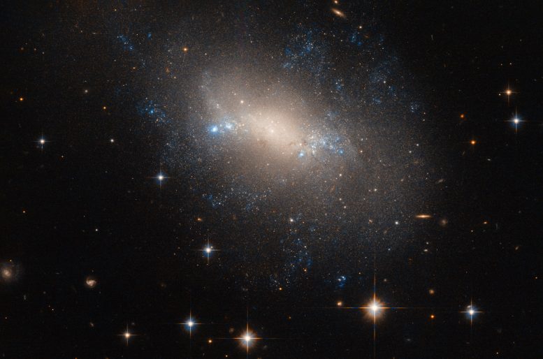Hubble Views NGC 2337