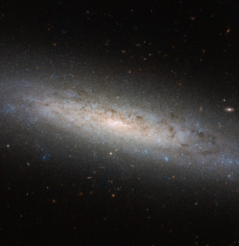 Hubble Views NGC 24