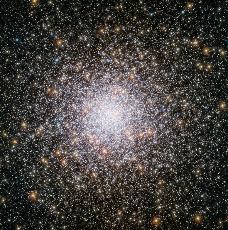 Hubble Views NGC 362