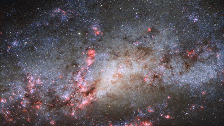 Hubble Views NGC 4490