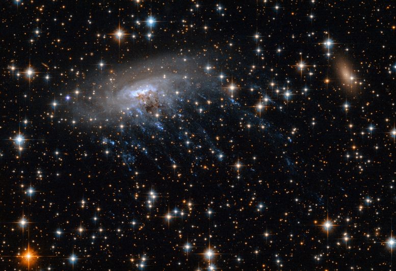 Hubble Views Spiral Galaxy ESO 137-001