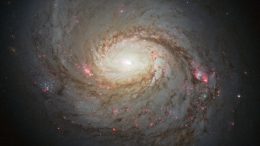 Hubble Views Spiral Galaxy Messier 77