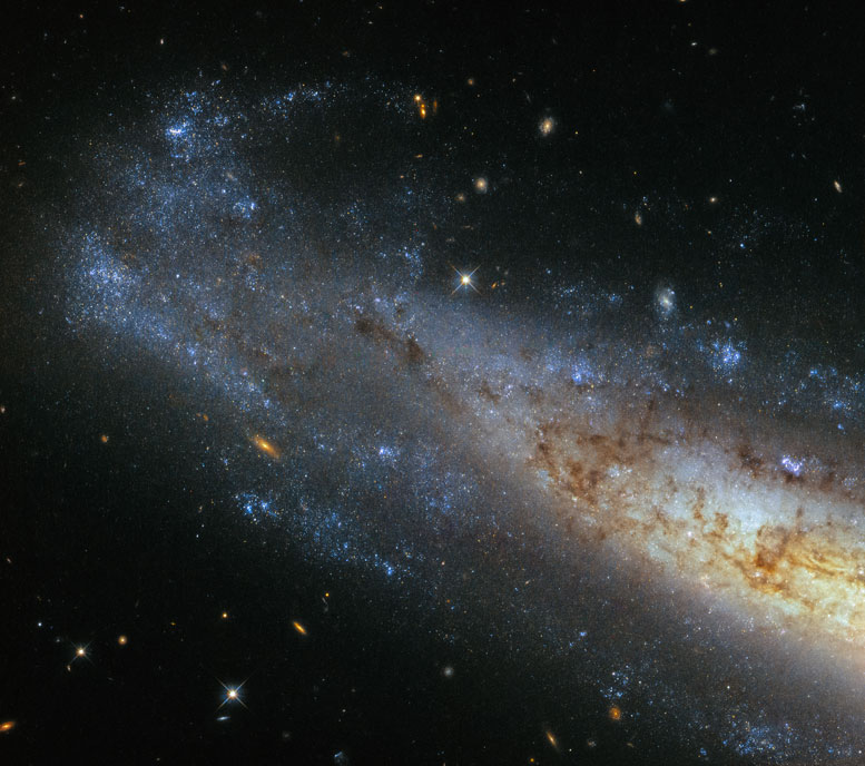 Hubble Views Spiral Galaxy NGC 1448