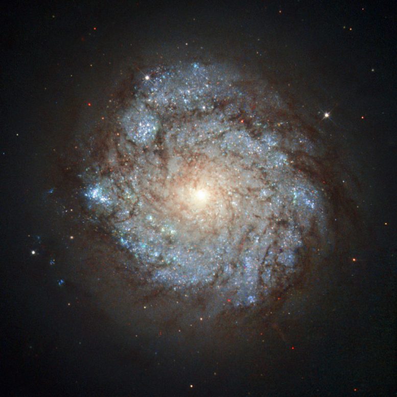 Hubble Views Spiral Galaxy NGC 278