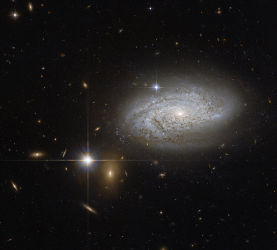 Hubble Views Spiral Galaxy NGC 3021