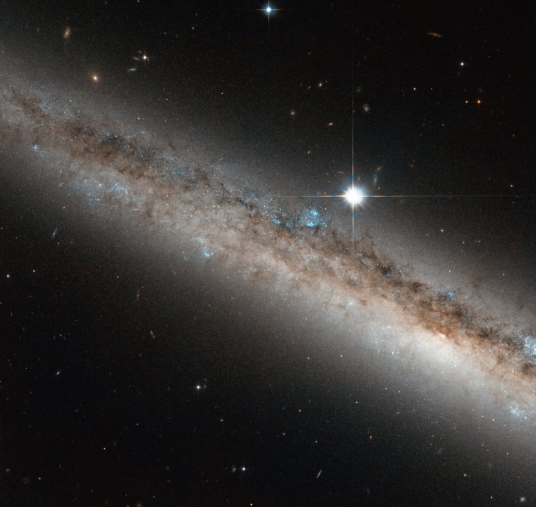 Hubble Views Spiral Galaxy NGC 4517