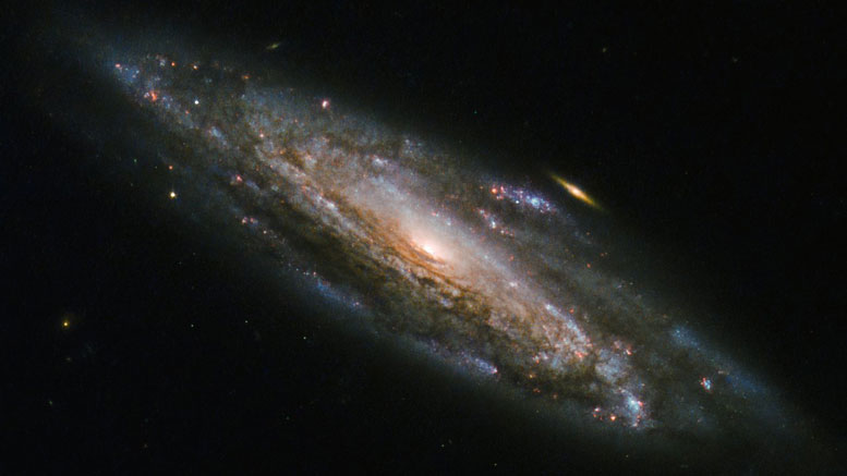 Hubble Views Spiral Galaxy NGC 5559