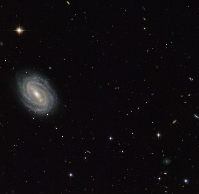 Hubble Views Spiral Galaxy PGC 54493
