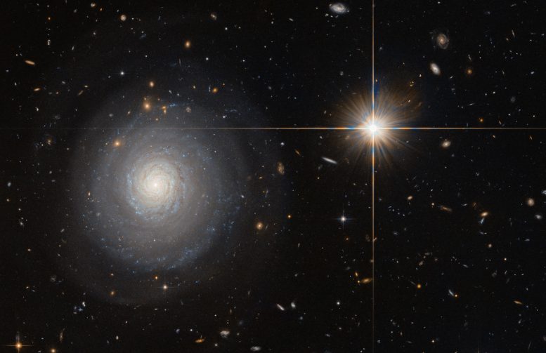 Hubble Views Starburst Galaxy MCG+07-33-027