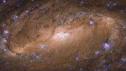 Hubble Views Stunning Spiral Galaxy