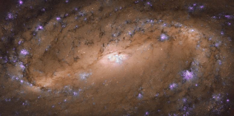 Hubble Views Stunning Spiral Galaxy