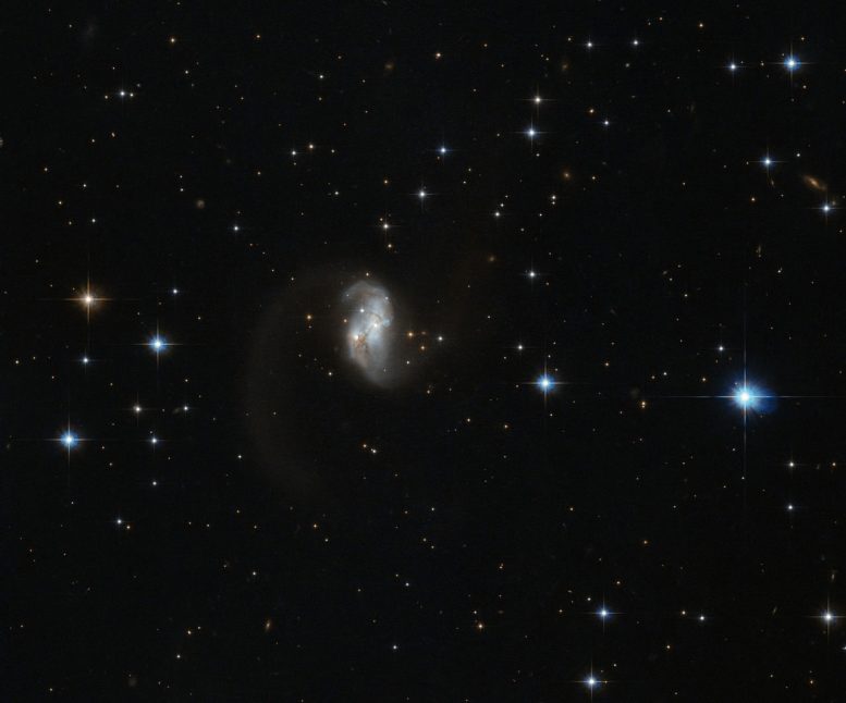 Hubble Views Wormlike Galaxy