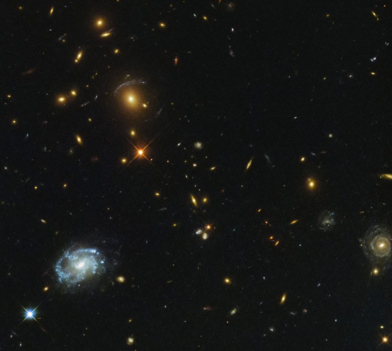 Hubble Views a Giant Galaxy Custer