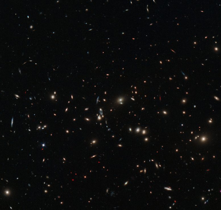 Hubble Views a Massive Galaxy Cluster