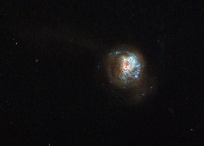 Hubble Views a Starburst Galaxy