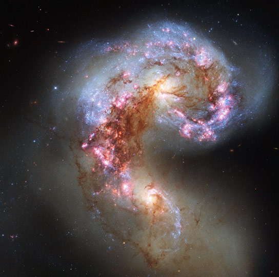 Hubble Views the Antennae Galaxies