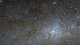 Hubble Views the Center of NGC 247