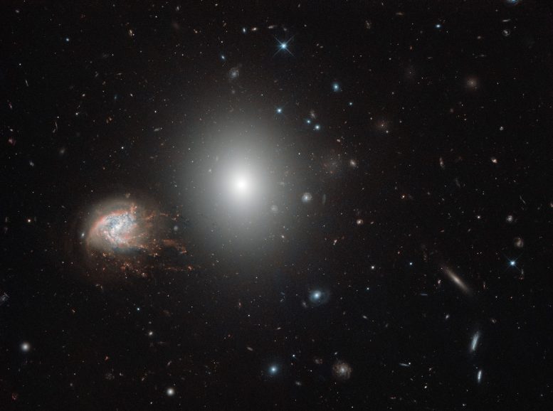 Hubble Views the Coma Cluster