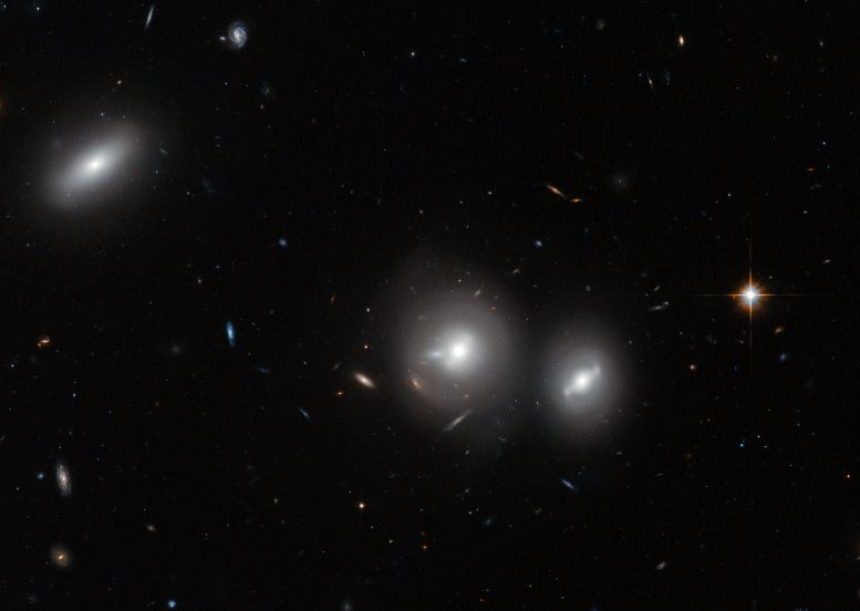 Hubble Views the Coma Cluster