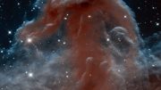 Hubble Views the Horsehead Nebula