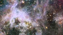 Hubble Views the Interior of Tarantula Nebula