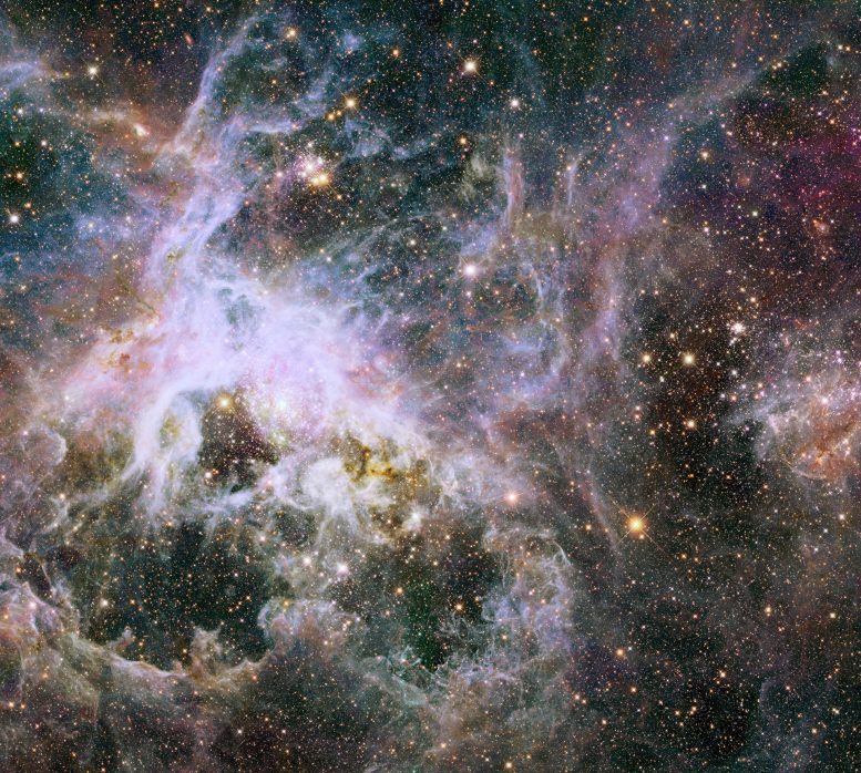 Hubble Views the Interior of Tarantula Nebula