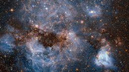 Hubble Views the Large Magellanic Cloud